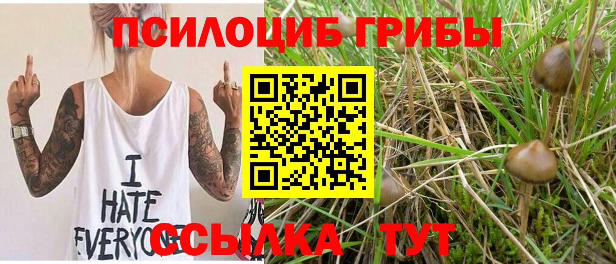 Верхняя Салда  Галлюциногенные грибы Psilocybe  Вход с VPN 