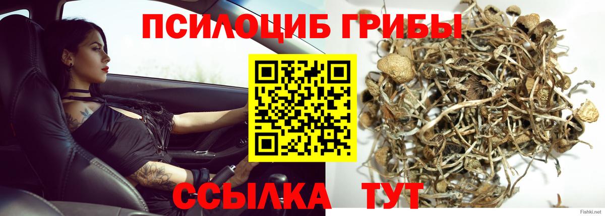 Галлюциногенные грибы мухоморы Верхняя Салда